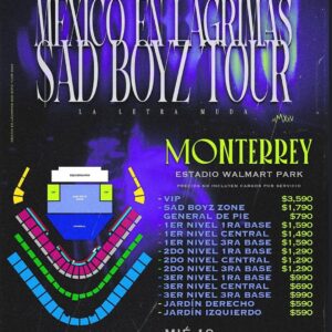 junior h monterrey 19 de noviembre, Estadio Walmart Park Monterry NL